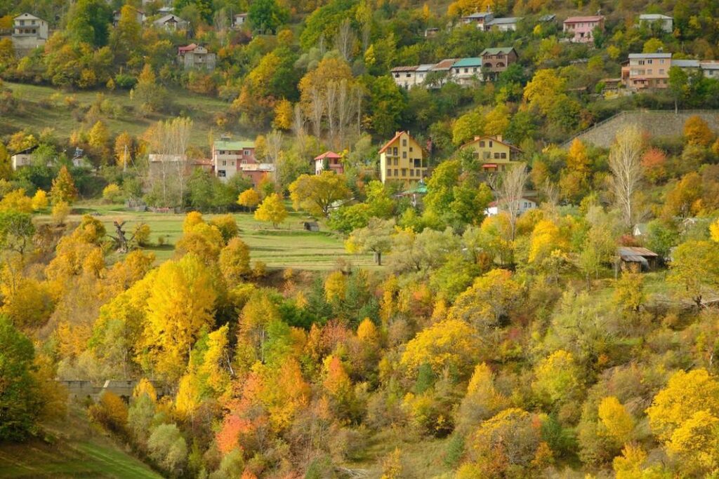 Zigana Yolunda Sonbaharın Renkleri ve Doğa Tutkunlarının Rüya Yolculuğu