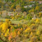 Zigana Yolunda Sonbaharin Renkleri ve Doga Tutkunlarinin Ruya Yolculugu