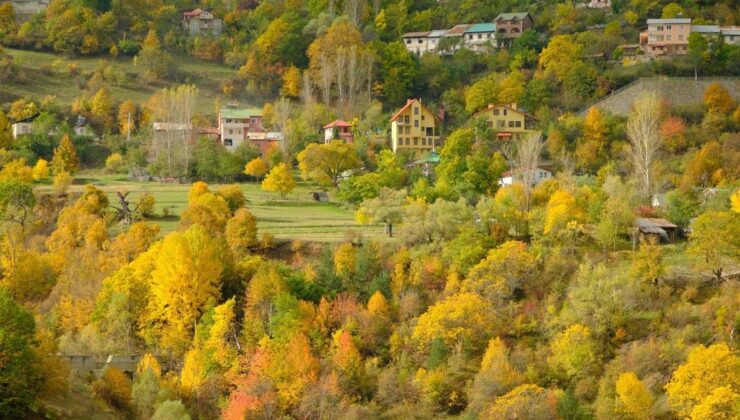 Zigana Yolunda Sonbaharın Renkleri ve Doğa Tutkunlarının Rüya Yolculuğu