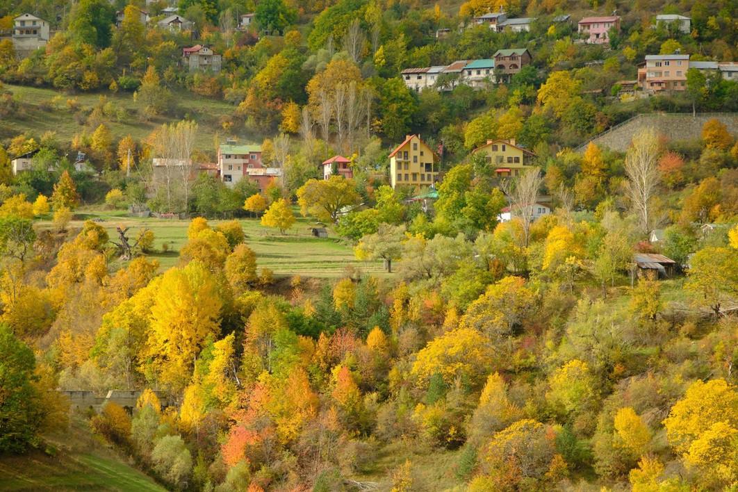 Zigana Yolunda Sonbaharın Renkleri ve Doğa Tutkunlarının Rüya Yolculuğu