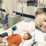 Pitbull Saldirisi Ankara8217da Dehset