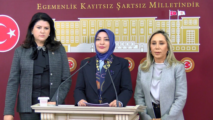 TBMM'de Taciz İddialarına İzleme Grubu