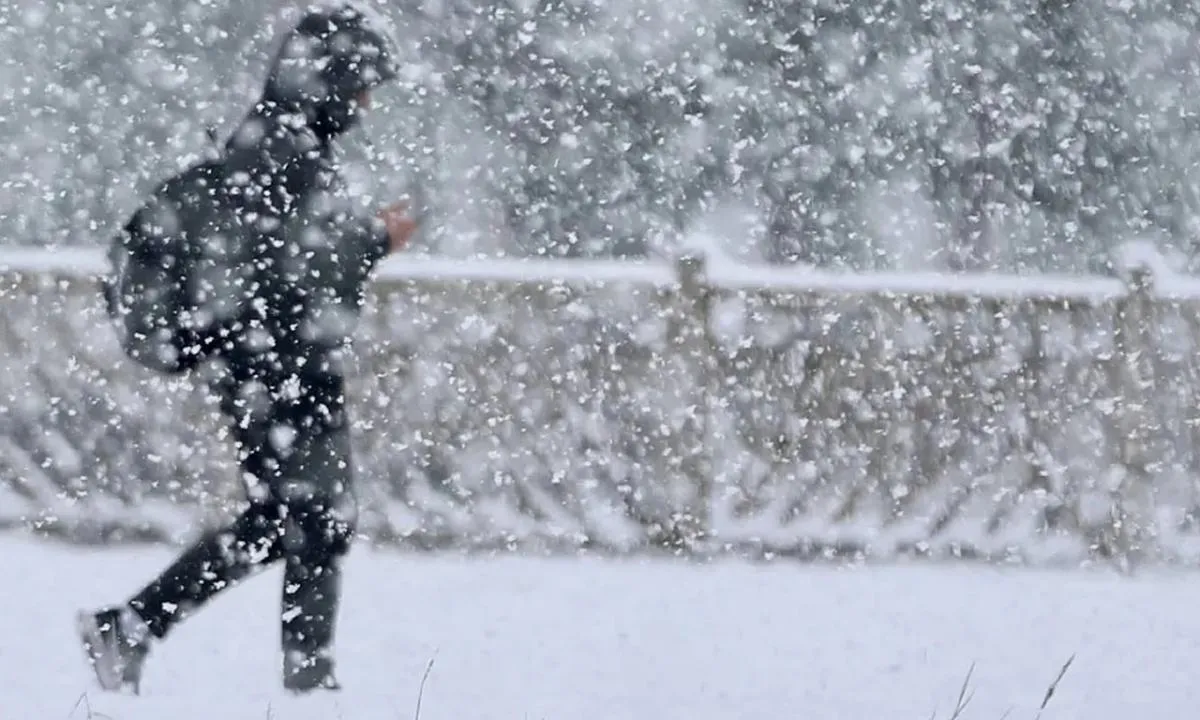 Diyarbakır Kar Yağışı