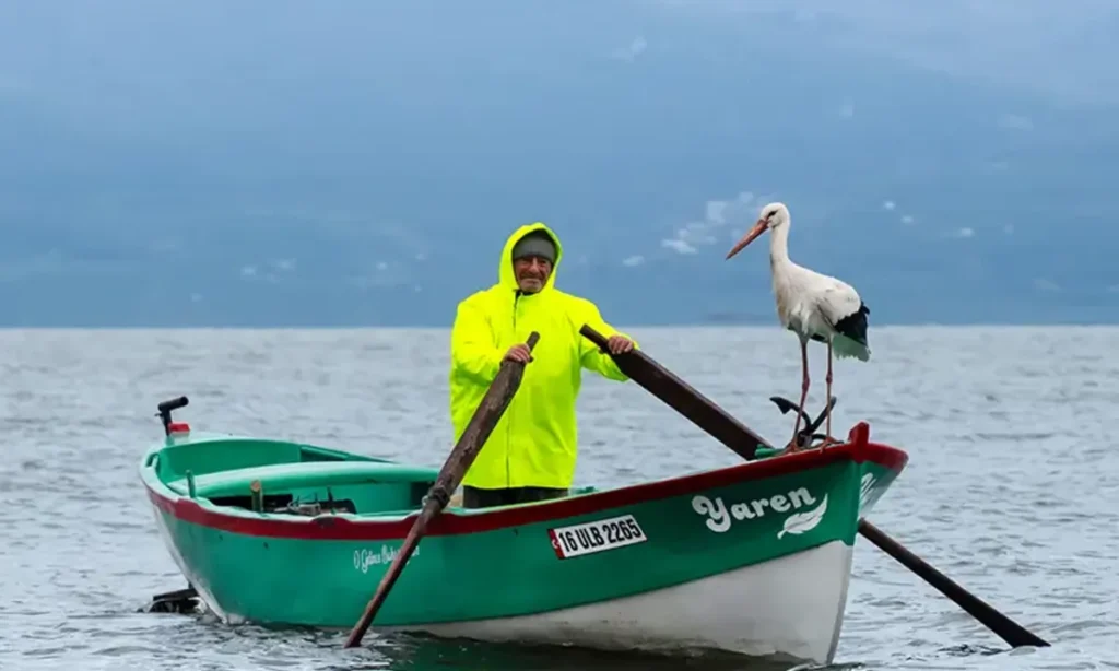 Yaren Leylek ve Adem Amca’nın Sıradışı Dostluğu Dünyayı Büyülüyor