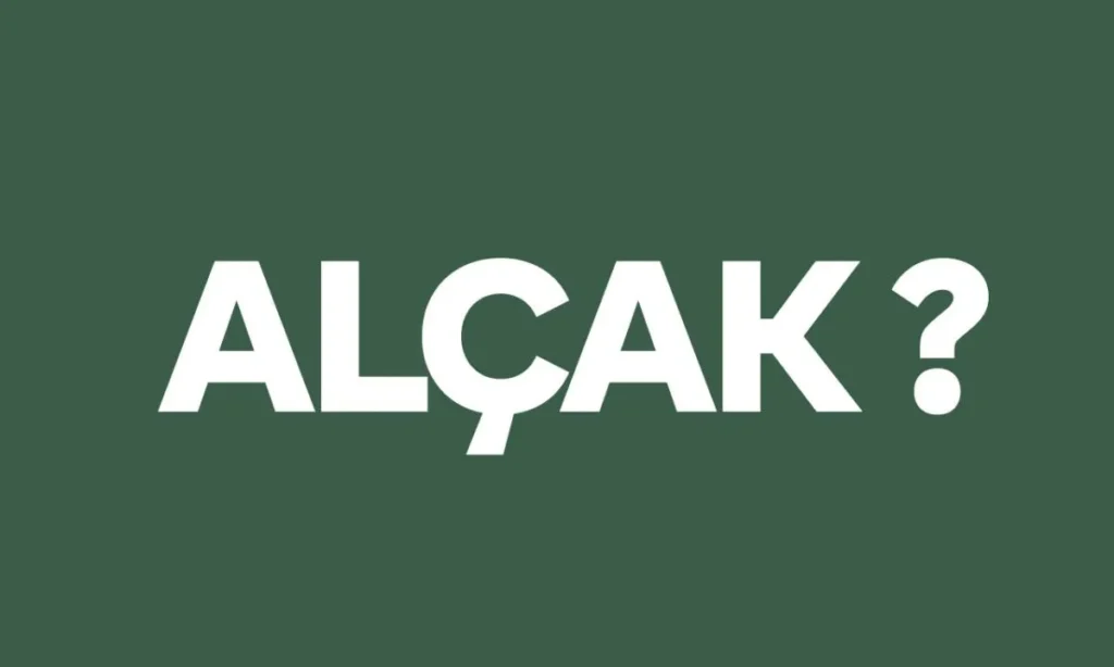 Ahlaki Değerleri Sorgulatan Kelime: “Alçak”ın Anlam Derinliği ve Eş Anlamlıları