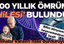Balinaların Genetik Sırrı İnsan Ömrünü Uzatabilir mi?