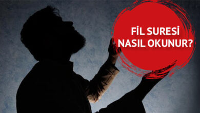 Fil Suresi: Tarihin Derinliklerinden Günümüze İnen İlahi İkaz