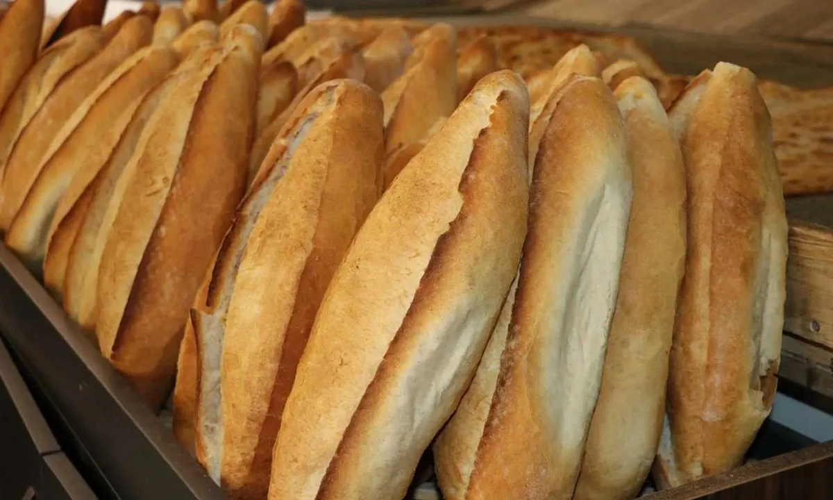 Taze Ekmek Fiyatı