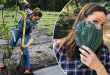 Ünlü Oyuncu, Servetini Hamburgerci Sevgilisinden Koruma Telaşına Düştü!