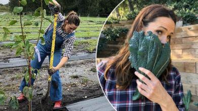 Ünlü Oyuncu, Servetini Hamburgerci Sevgilisinden Koruma Telaşına Düştü!
