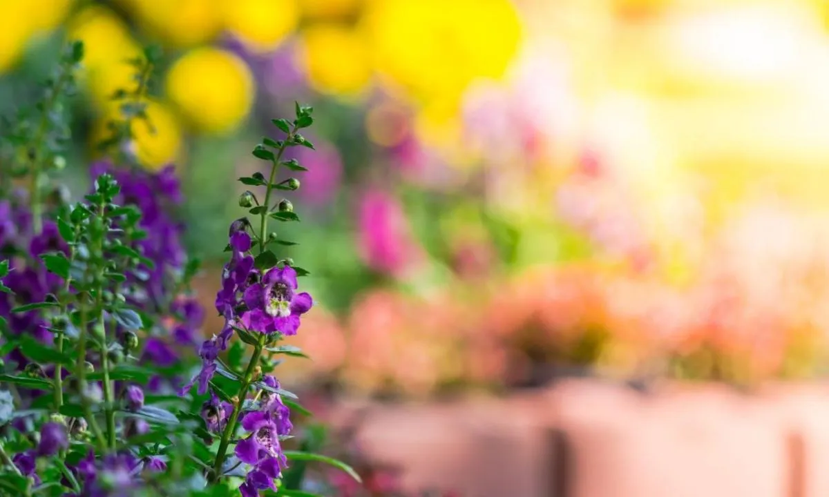 Yeşilin Sırrı: Bahçe Kelimesinin Anlam Derinlikleri ve Eş Anlamlıları