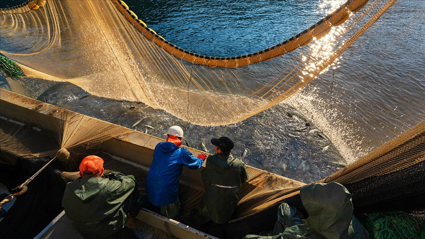 2026 Balık Avı Sezonu: Denizlerde Yasak Ne Zaman Kalkacak?