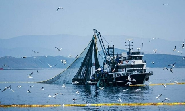 2026 Balık Avı Sezonu: Denizlerde Yasak Ne Zaman Kalkacak?